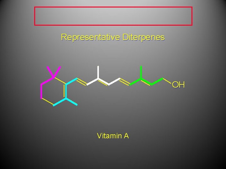 Representative Diterpenes OH Vitamin A Representative Diterpenes OH Vitamin A