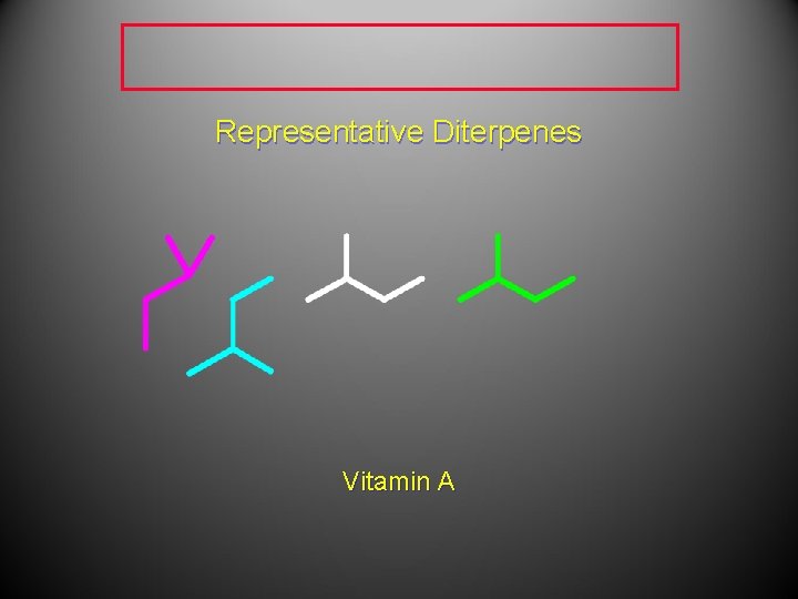 Representative Diterpenes Vitamin A Representative Diterpenes Vitamin A