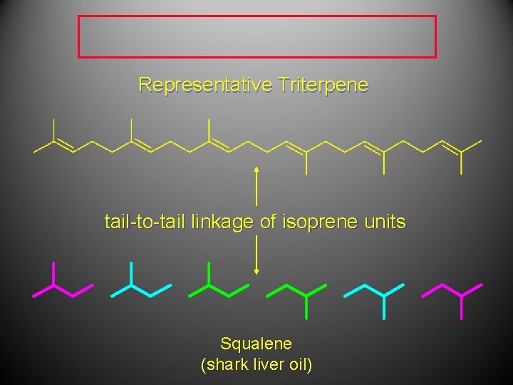 Representative Triterpene tail-to-tail linkage of isoprene units Squalene (shark liver oil) Representative Triterpene tail-to-tail linkage of isoprene units Squalene (shark liver oil)