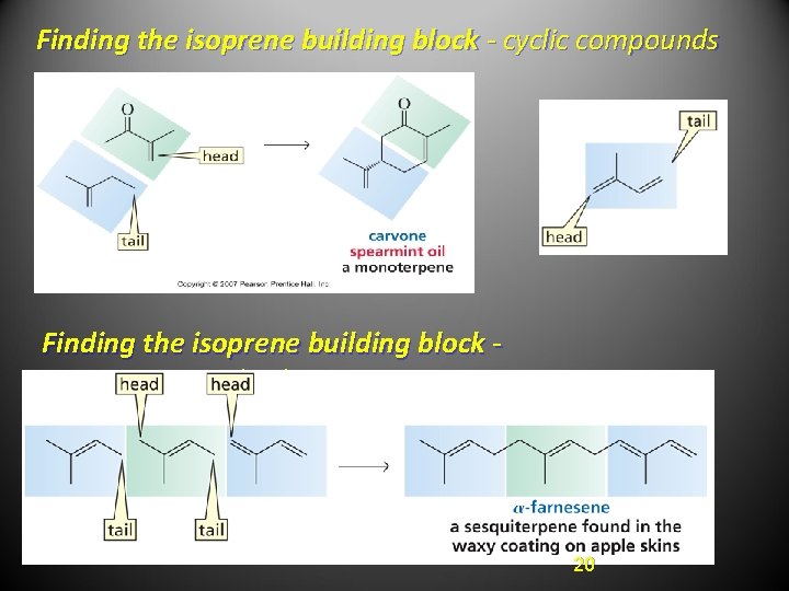 Finding the isoprene building block - cyclic compounds Finding the isoprene building block sesquiterpenes Finding the isoprene building block - cyclic compounds Finding the isoprene building block sesquiterpenes