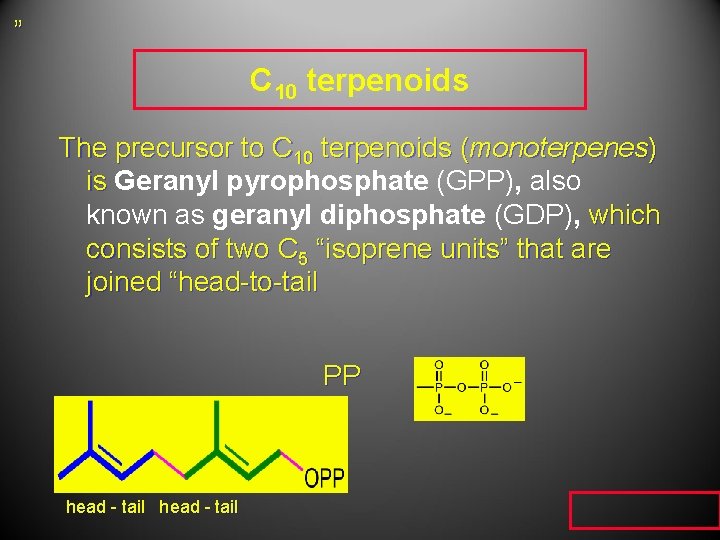 ” C 10 terpenoids The precursor to C 10 terpenoids (monoterpenes) is Geranyl pyrophosphate ” C 10 terpenoids The precursor to C 10 terpenoids (monoterpenes) is Geranyl pyrophosphate