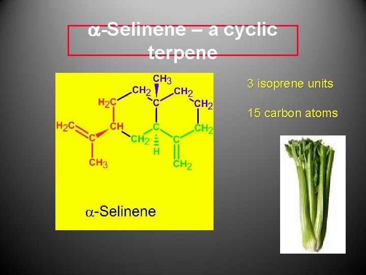 a-Selinene – a cyclic terpene 3 isoprene units 15 carbon atoms a-Selinene – a cyclic terpene 3 isoprene units 15 carbon atoms