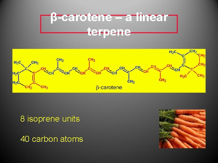 β-carotene – a linear terpene 8 isoprene units 40 carbon atoms β-carotene – a linear terpene 8 isoprene units 40 carbon atoms