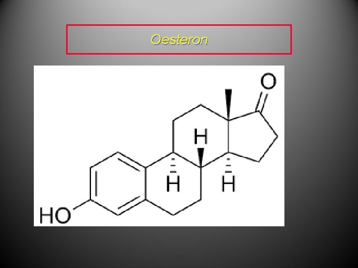 Oesteron Oesteron
