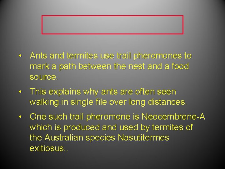 • Ants and termites use trail pheromones to mark a path between the • Ants and termites use trail pheromones to mark a path between the