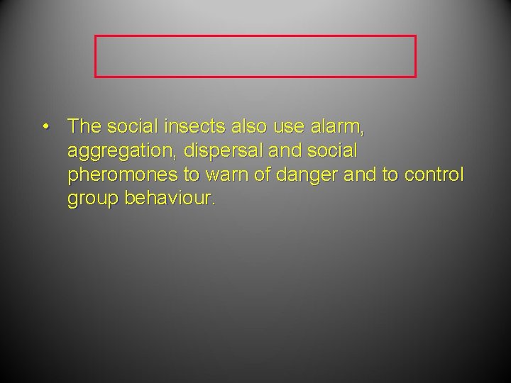 • The social insects also use alarm, aggregation, dispersal and social pheromones to • The social insects also use alarm, aggregation, dispersal and social pheromones to