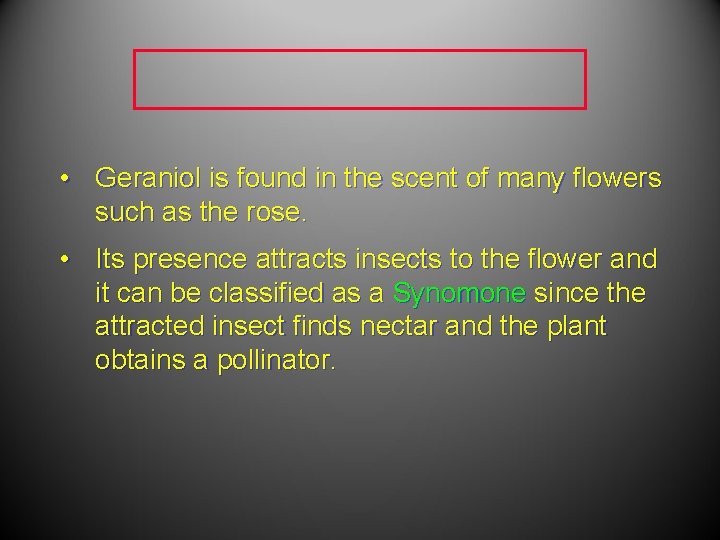 • Geraniol is found in the scent of many flowers such as the • Geraniol is found in the scent of many flowers such as the