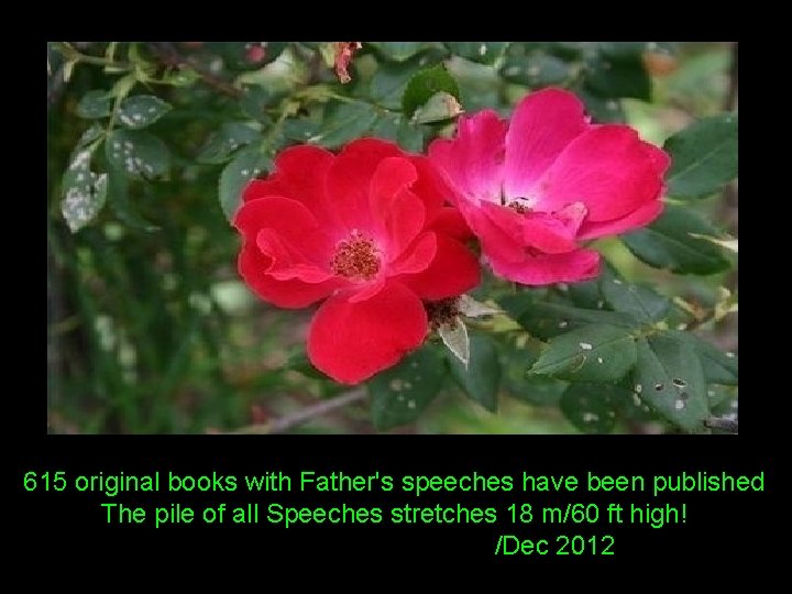 615 original books with Father's speeches have been published The pile of all Speeches