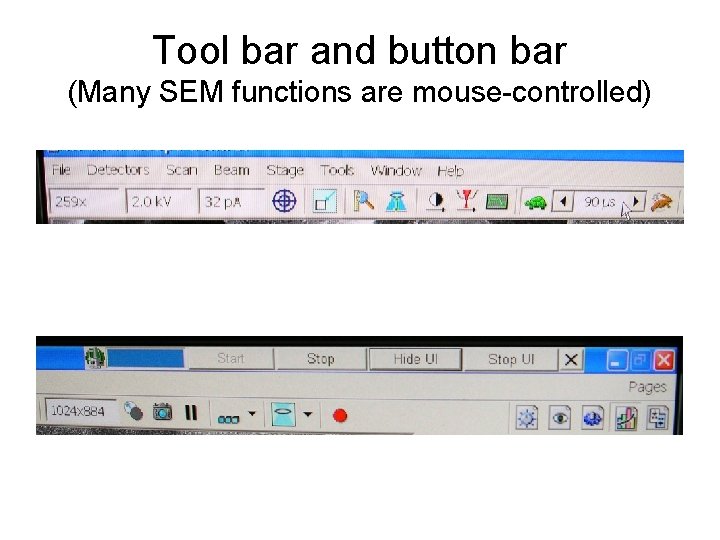 Tool bar and button bar (Many SEM functions are mouse-controlled) 