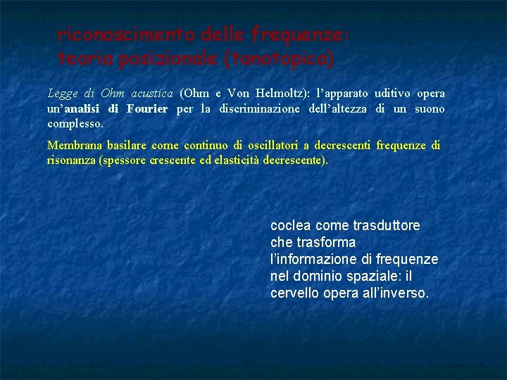 riconoscimento delle frequenze: teoria posizionale (tonotopica) Legge di Ohm acustica (Ohm e Von Helmoltz):