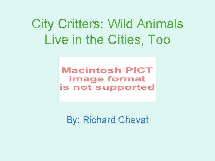 City Critters: Wild Animals Live in the Cities, Too By: Richard Chevat 