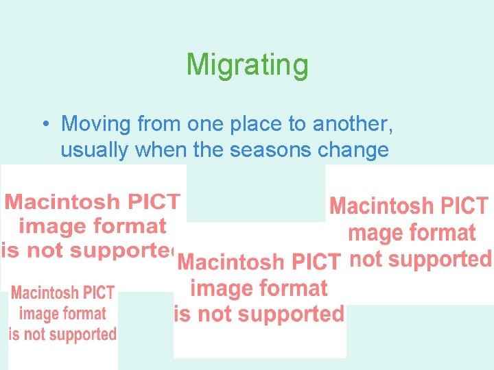 Migrating • Moving from one place to another, usually when the seasons change 