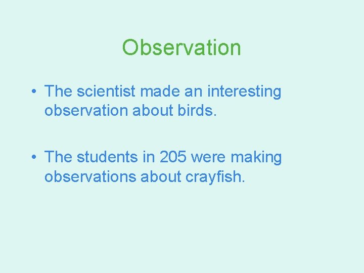 Observation • The scientist made an interesting observation about birds. • The students in