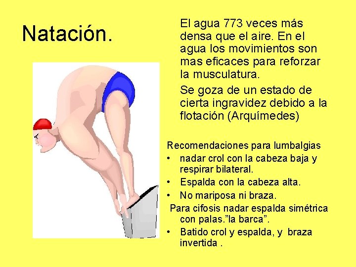 Natación. El agua 773 veces más densa que el aire. En el agua los Natación. El agua 773 veces más densa que el aire. En el agua los