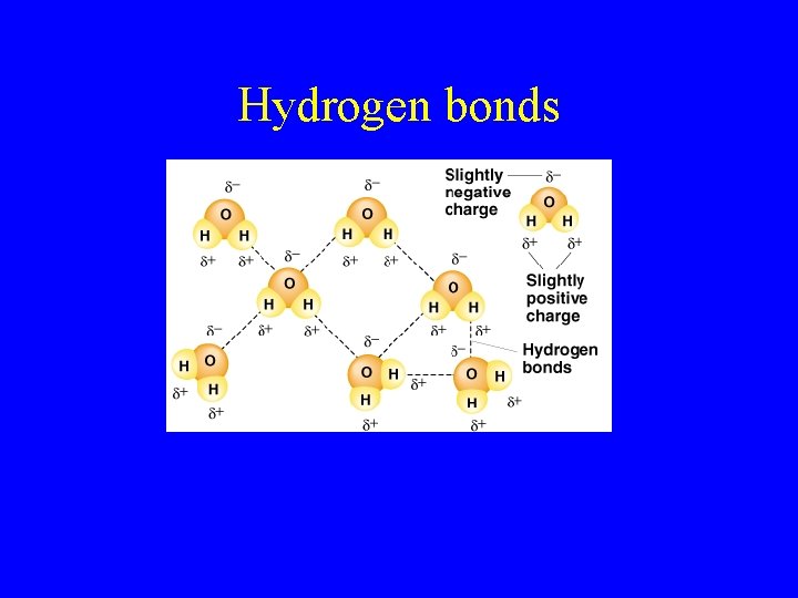 Hydrogen bonds 
