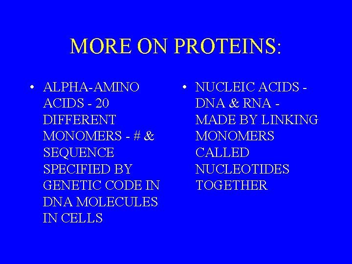 MORE ON PROTEINS: • ALPHA-AMINO ACIDS - 20 DIFFERENT MONOMERS - # & SEQUENCE