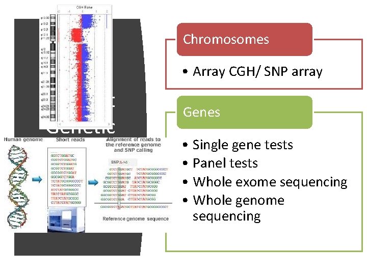 Chromosomes • Array CGH/ SNP array Current Genetic testing Genes • Single gene tests