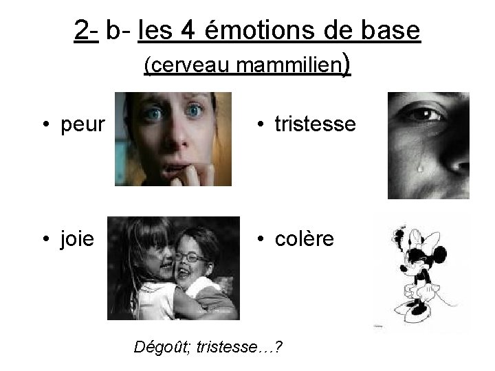 2 - b- les 4 émotions de base (cerveau mammilien) • peur • tristesse