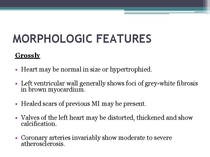 MORPHOLOGIC FEATURES Grossly • Heart may be normal in size or hypertrophied. • Left