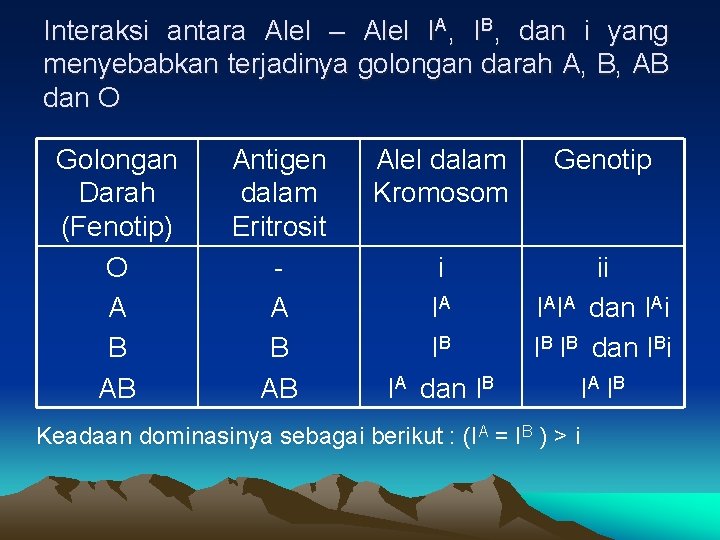 Interaksi antara Alel – Alel IA, IB, dan i yang menyebabkan terjadinya golongan darah