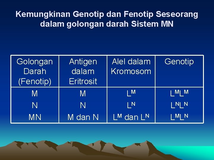 Kemungkinan Genotip dan Fenotip Seseorang dalam golongan darah Sistem MN Golongan Darah (Fenotip) M