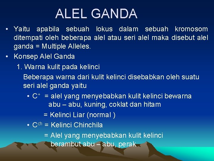 ALEL GANDA • Yaitu apabila sebuah lokus dalam sebuah kromosom ditempati oleh beberapa alel