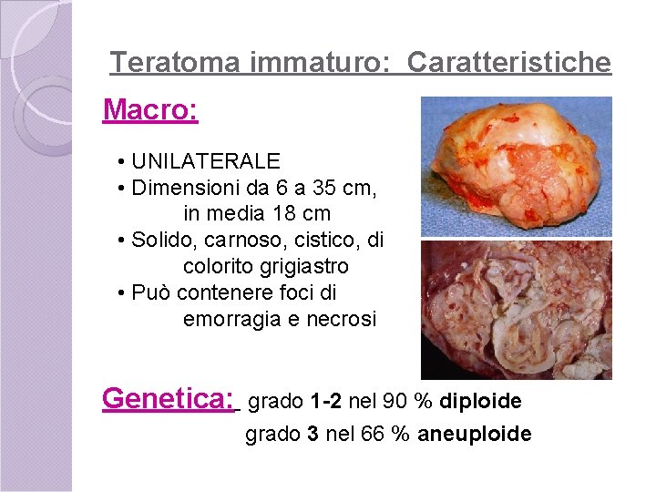 Teratoma immaturo: Caratteristiche Macro: • UNILATERALE • Dimensioni da 6 a 35 cm, in