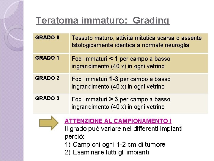 Teratoma immaturo: Grading GRADO 0 Tessuto maturo, attività mitotica scarsa o assente Istologicamente identica