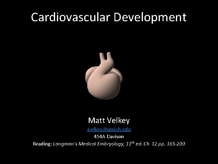 Cardiovascular Development Matt Velkey jvelkey@umich. edu 454 A Davison Reading: Langman’s Medical Embryology, 11