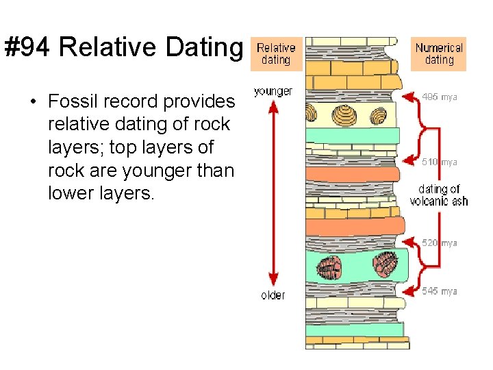 #94 Relative Dating • Fossil record provides relative dating of rock layers; top layers