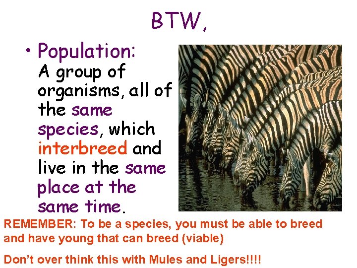 BTW, • Population: A group of organisms, all of the same species, which interbreed