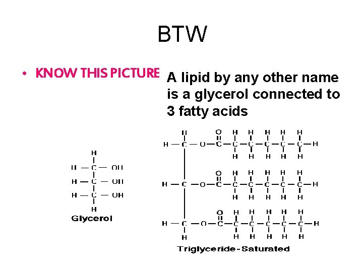 BTW • KNOW THIS PICTURE A lipid by any other name is a glycerol