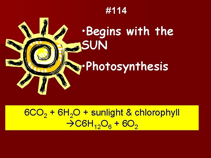 #114 • Begins with the SUN • Photosynthesis 6 CO 2 + 6 H