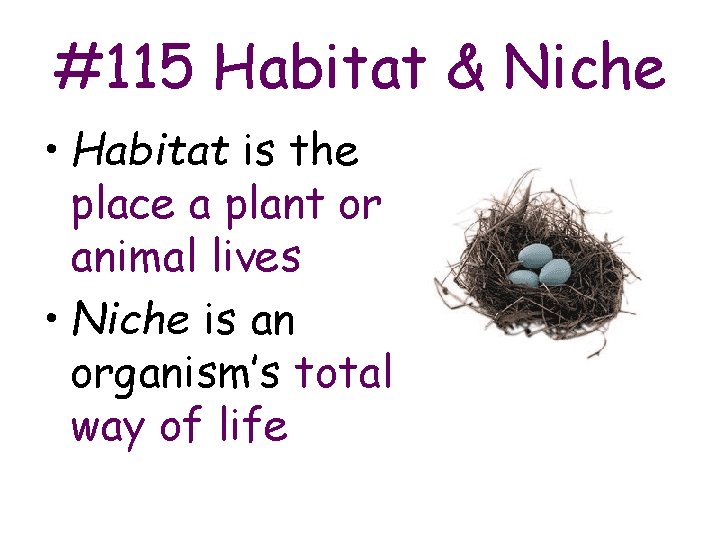 #115 Habitat & Niche • Habitat is the place a plant or animal lives