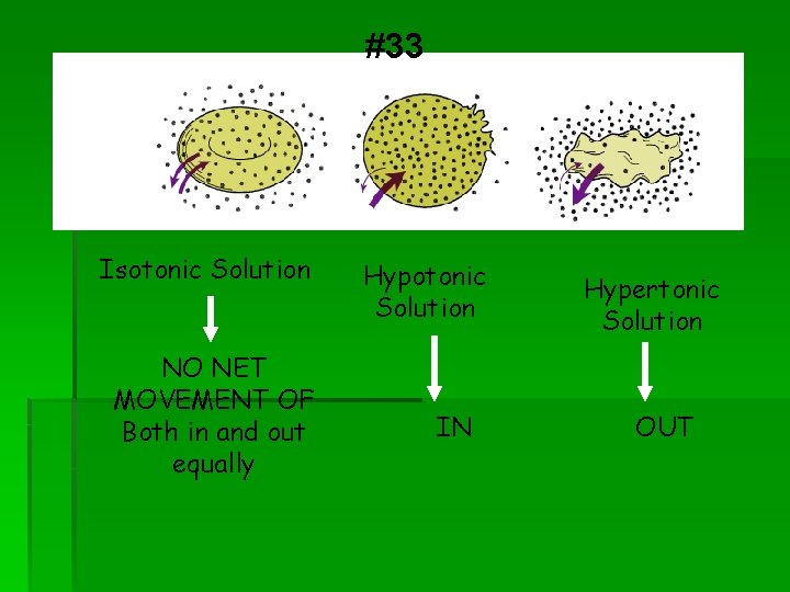 #33 Isotonic Solution NO NET MOVEMENT OF Both in and out equally Hypotonic Solution