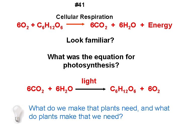 #41 Cellular Respiration 6 O 2 + C 6 H 12 O 6 6