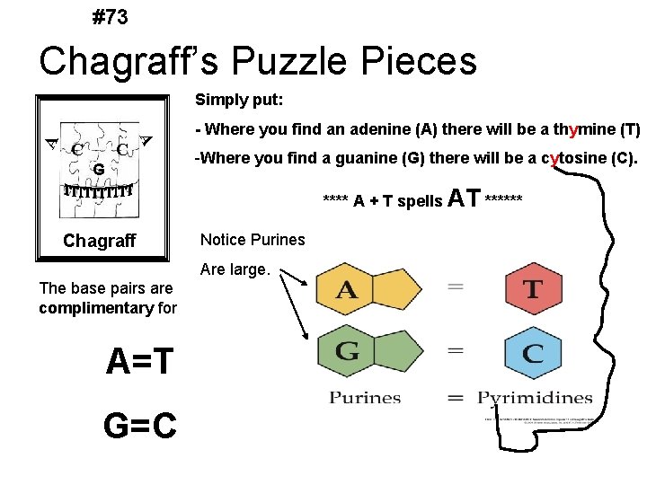 #73 Chagraff’s Puzzle Pieces C C A A Simply put: G - Where you