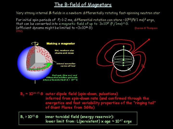 The B-field of Magnetars Very strong internal B-fields in a newborn differentially rotating fast-spinning