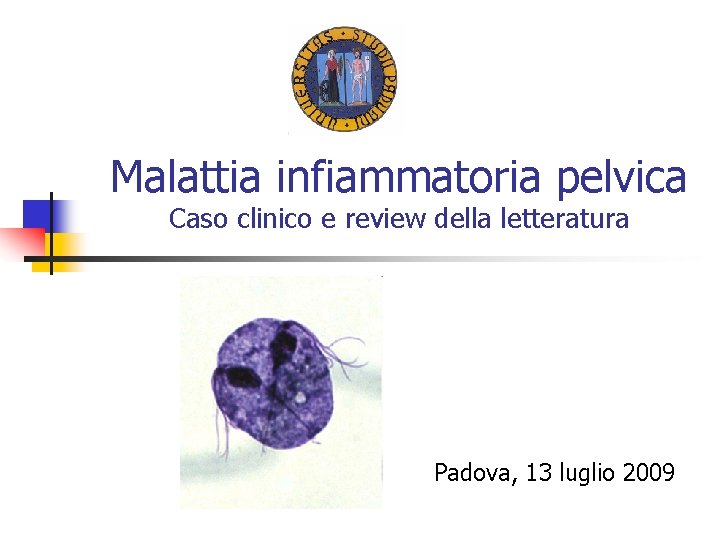 Malattia infiammatoria pelvica Caso clinico e review della letteratura Padova, 13 luglio 2009 