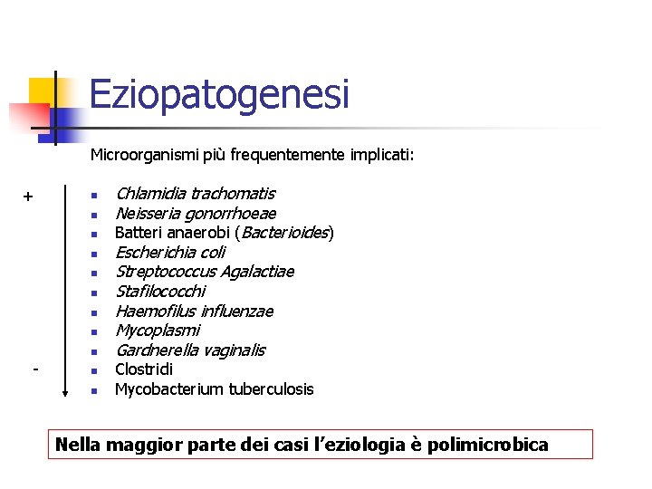 Eziopatogenesi Microorganismi più frequentemente implicati: + n n n n n - n n