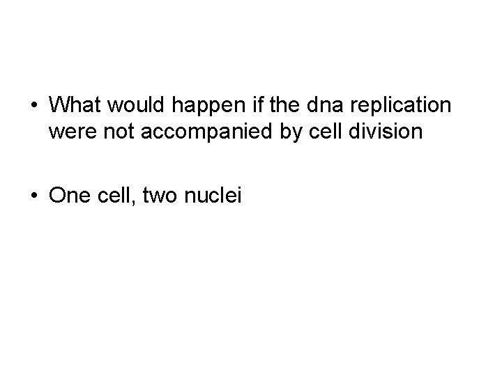  • What would happen if the dna replication were not accompanied by cell