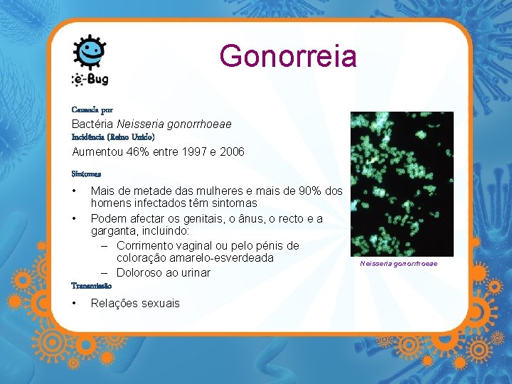 Gonorreia Causada por Bactéria Neisseria gonorrhoeae Incidência (Reino Unido) Aumentou 46% entre 1997 e