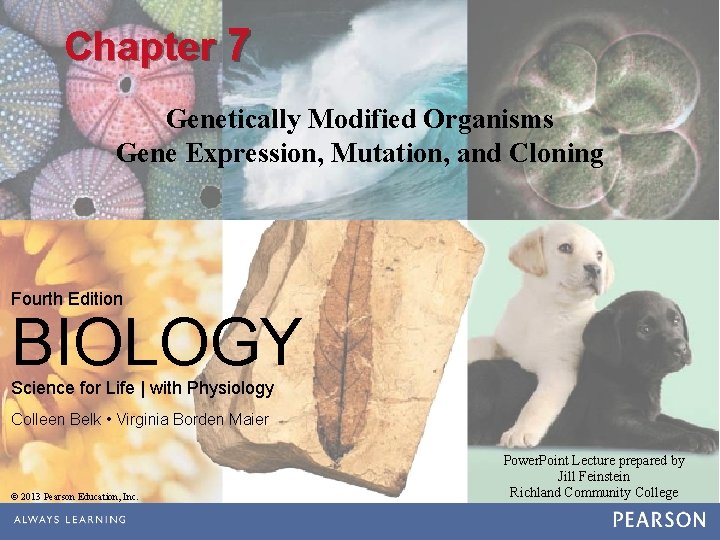 Chapter 7 Genetically Modified Organisms Gene Expression, Mutation, and Cloning Fourth Edition BIOLOGY Science