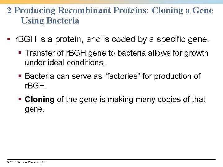 2 Producing Recombinant Proteins: Cloning a Gene Using Bacteria § r. BGH is a