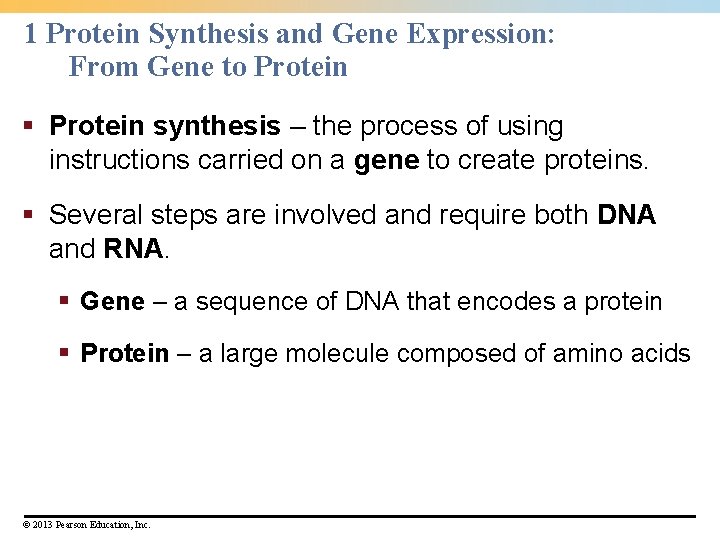 1 Protein Synthesis and Gene Expression: From Gene to Protein § Protein synthesis –
