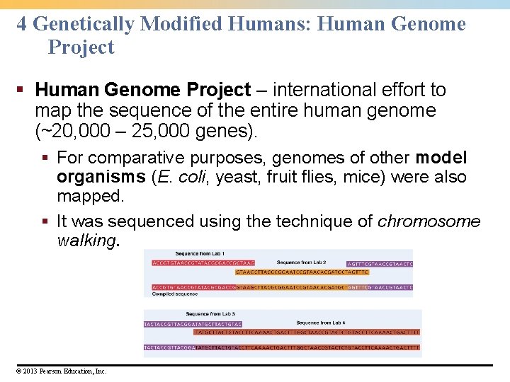 4 Genetically Modified Humans: Human Genome Project § Human Genome Project – international effort