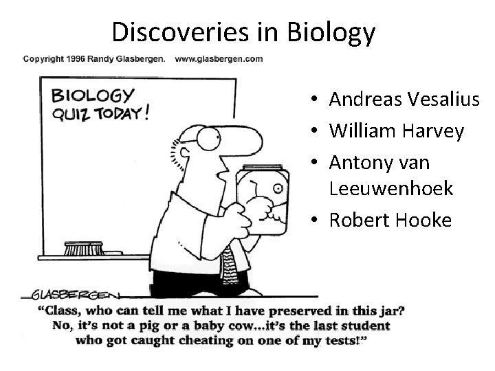 Discoveries in Biology • Andreas Vesalius • William Harvey • Antony van Leeuwenhoek •