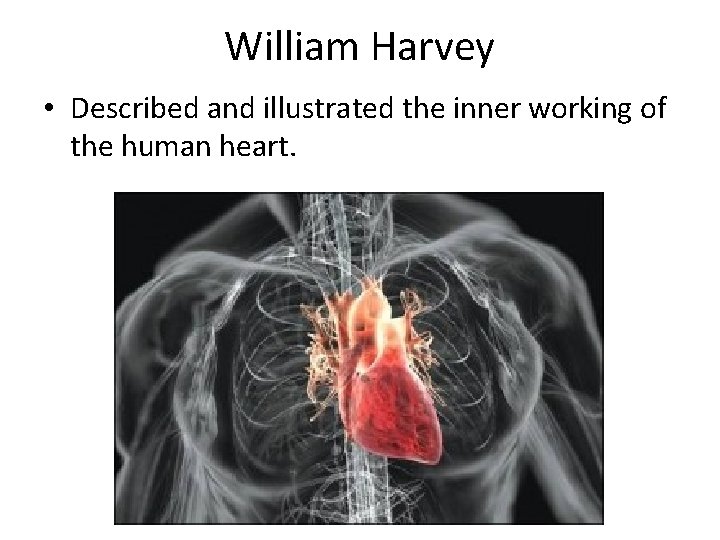 William Harvey • Described and illustrated the inner working of the human heart. 
