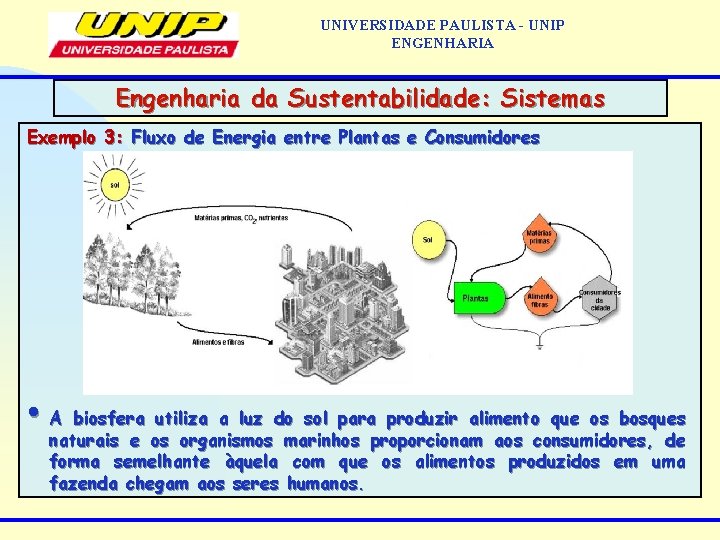 UNIVERSIDADE PAULISTA - UNIP ENGENHARIA Engenharia da Sustentabilidade: Sistemas Exemplo 3: Fluxo de Energia