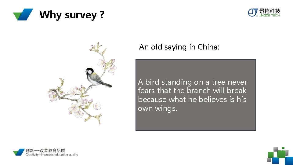 Why survey ? An old saying in China: A bird standing on a tree